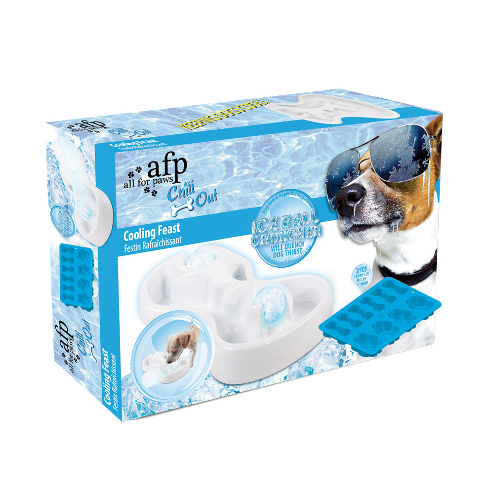 Pet Cooling and Heat Relief Feeding Bowl Set Bone Paw Ice Cube Silicone Mold Dog Cat Lick Bowl