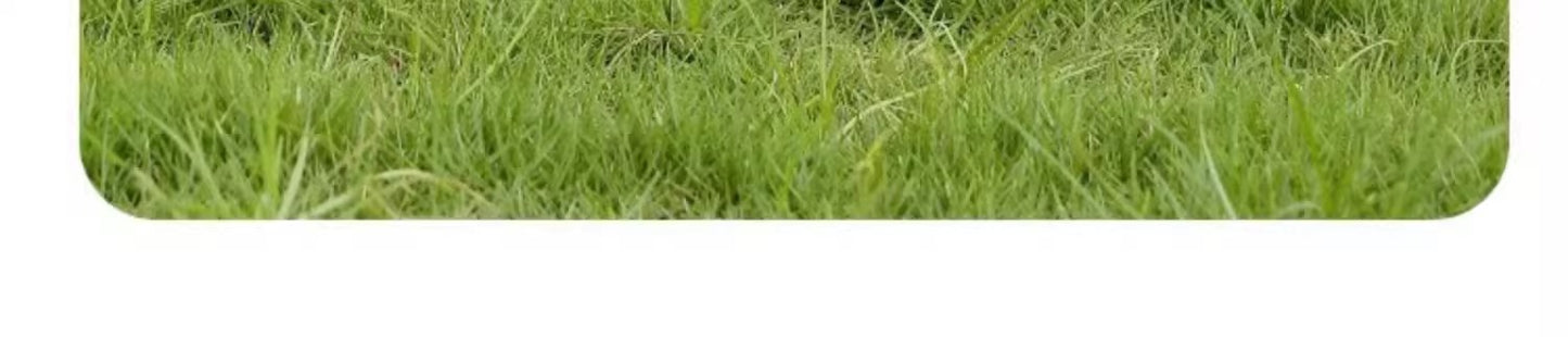 Small Dog Outdoor Walking Leash Vest Style Chest Harness for Teddy Bichon Pomeranian