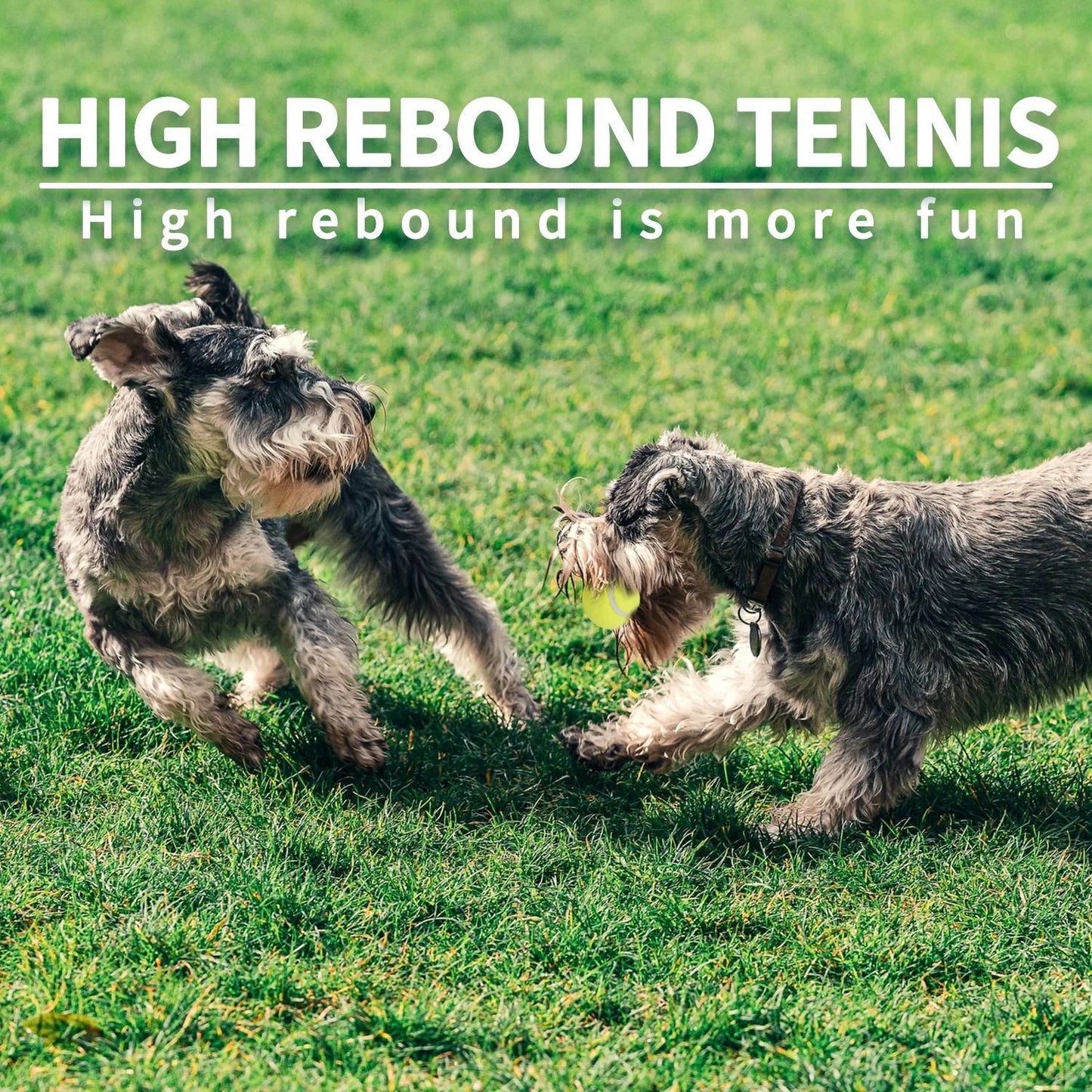 Large Dog Automatic Ball Launcher 6.5cm Tennis Ball Machine Pet Indoor Outdoor Training Tool