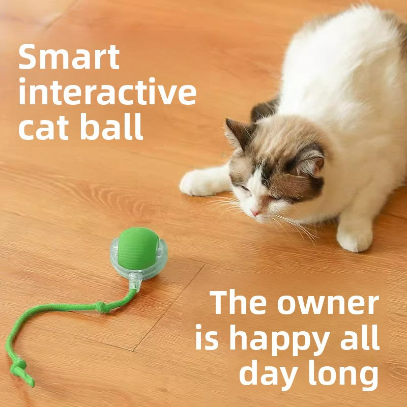 Rechargeable Automatic Cat Toy Ball with Variable Speed Smart Motion for Cats Interactive Self Play Pet Entertainment Teaser Ball