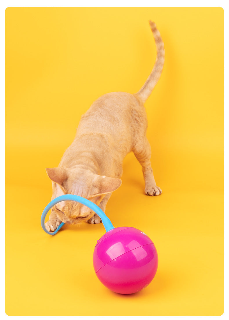 Automatic Electric Cat Toy with Irregular Sliding Magic Spinning Ball for Self-Entertainment