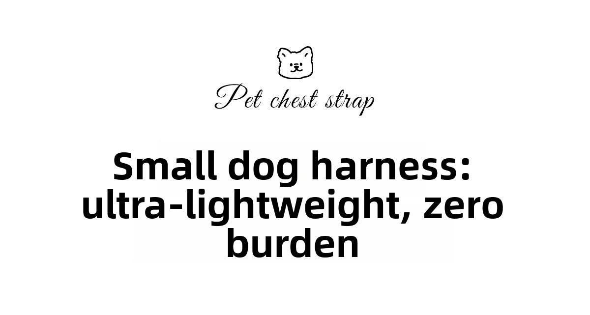 Big Eyes Cute Dog Harness and Leash Set Anti Escape Reflective Adjustable Chest Strap for Small Dogs Outdoor Travel Walking