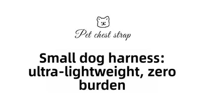 Big Eyes Cute Dog Harness and Leash Set Anti Escape Reflective Adjustable Chest Strap for Small Dogs Outdoor Travel Walking