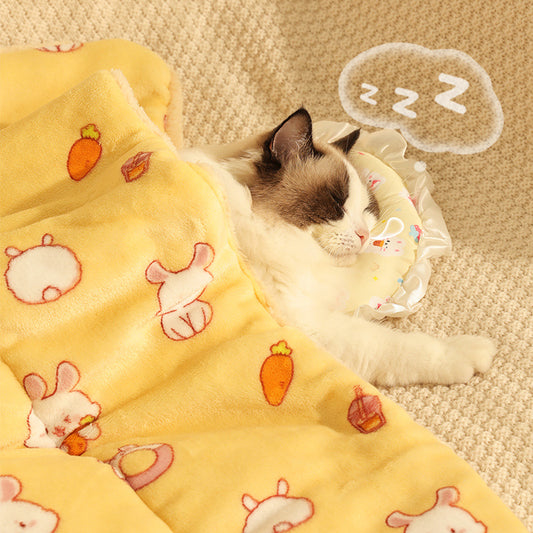 Electric Heating Pad for Cats and Dogs Waterproof Pet Warmer Mat Thermostat Control Ultra Soft Fleece Winter Bed for Puppy Kitten