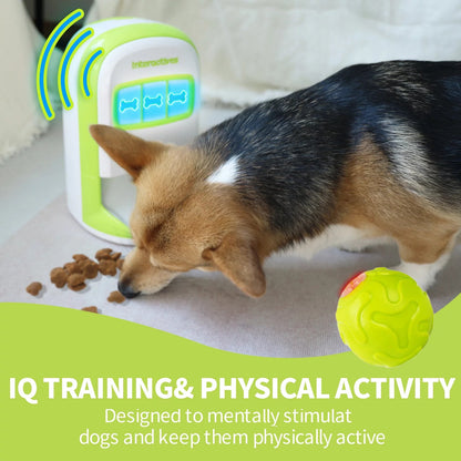 Educational Dog Toy Rolling Tennis Snack Dispenser with 4-Color Recording Feature