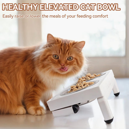 Sturdy Adjustable Height Angle Pet Feeder 750ml Stainless Bowl