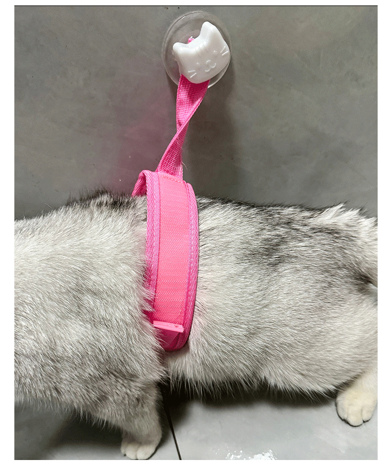 Professional Cat Bathing Restraint System Adjustable Grooming Strap with Strong Suction Cups Anti Movement Safe Cleaning Tool for Cats and Small Dogs