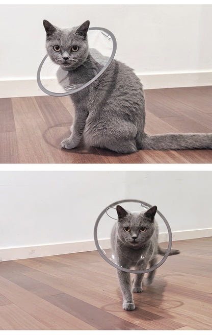 Transparent Waterproof Pet Elizabeth Circle for Cats and Dogs