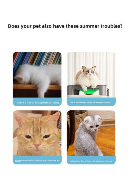 AllSeason Universal Cat Bed Removable Washable Summer Cool Nest for Pets