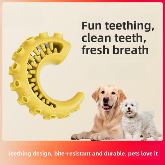 Rubber Spiked Bone Pet Toy New Design for Dog Teeth Grinding Chew Supplies