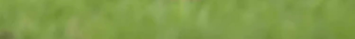 Small Dog Outdoor Walking Leash Vest Style Chest Harness for Teddy Bichon Pomeranian