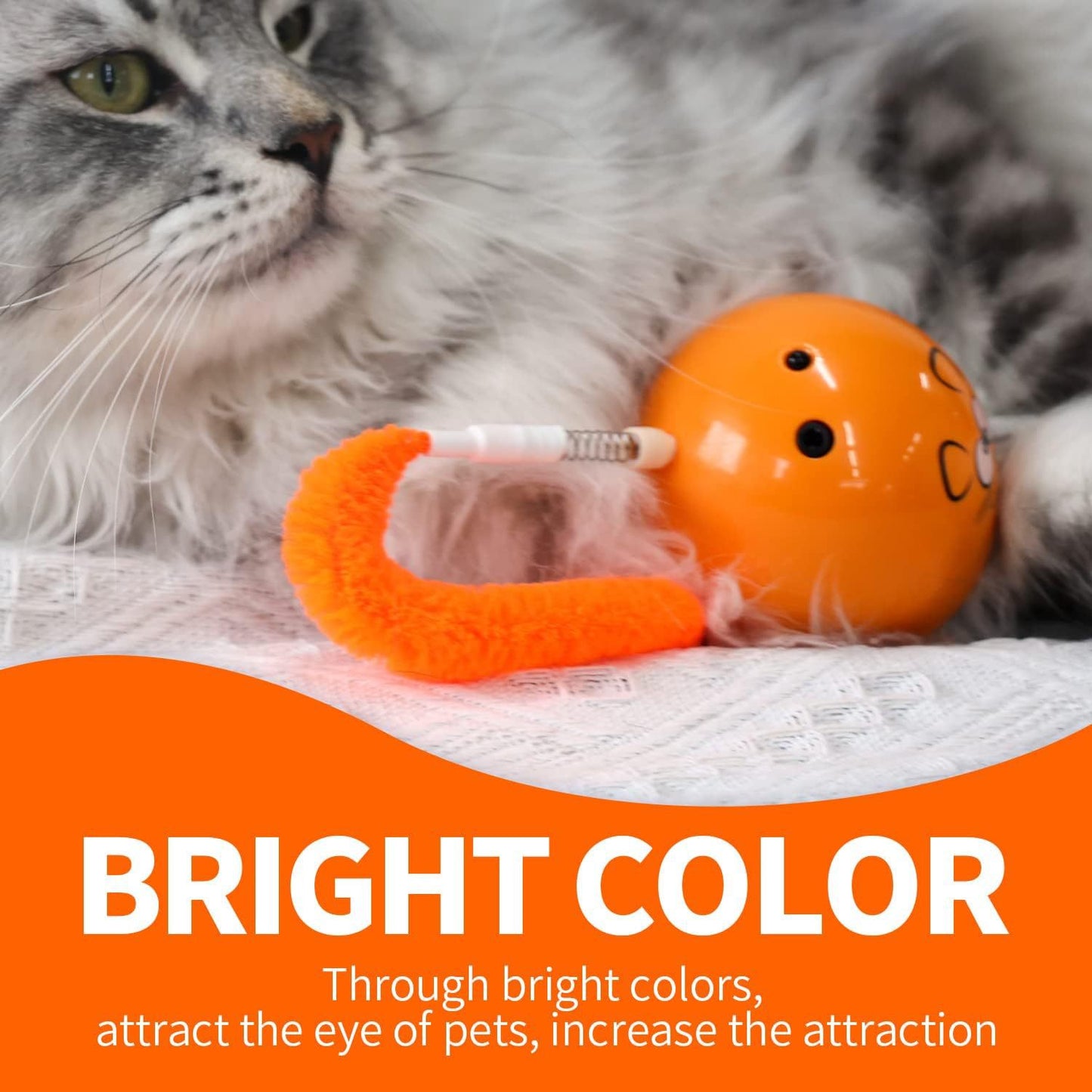 Indoor Electric Self-Entertainment Cat Toy with Glowing Moving Mouse