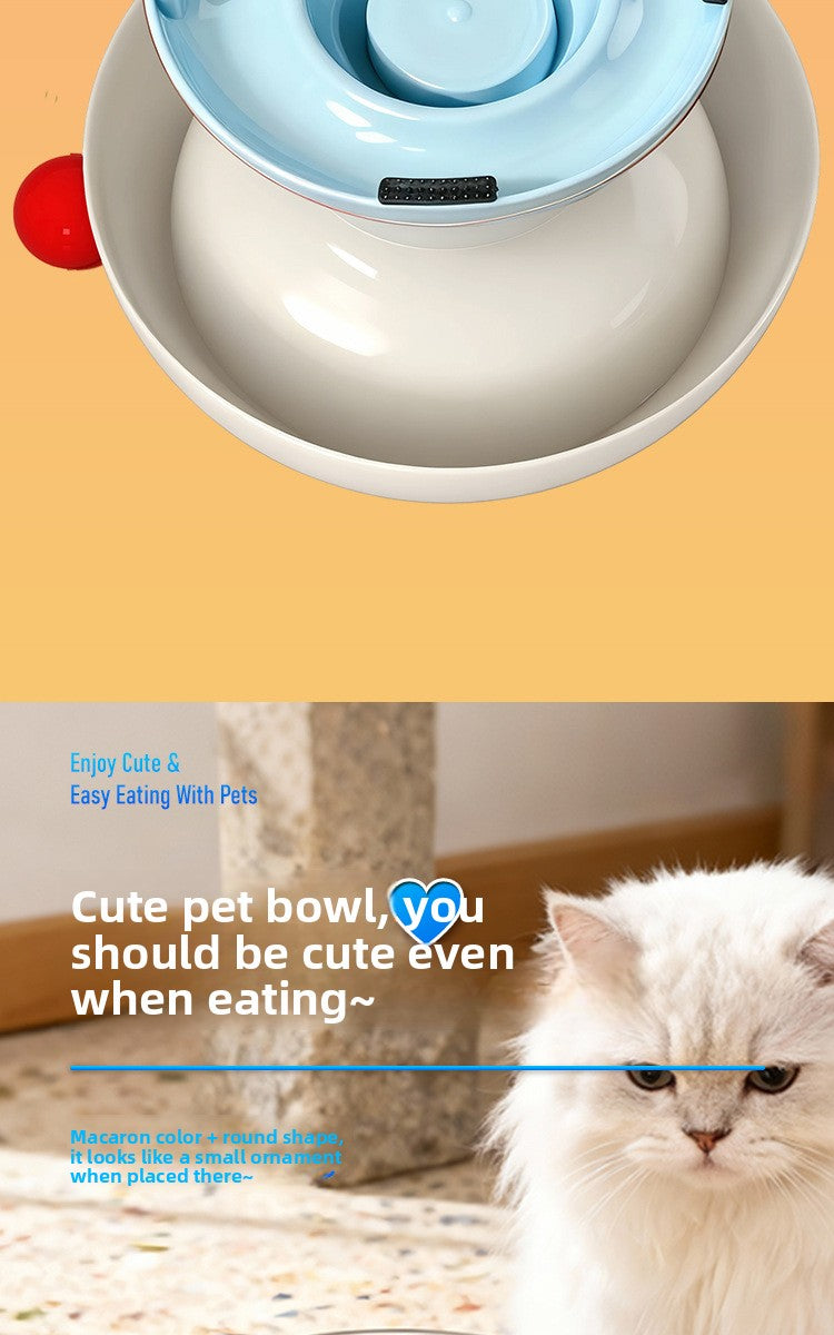 Pet Stainless Steel Cat Bowl Non-Slip Dopamine Color High-Leg Design Anti-Black Chin Cat Food Bowl Neck Protection