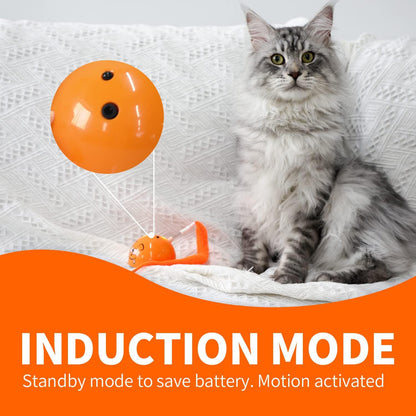 Indoor Electric Self-Entertainment Cat Toy with Glowing Moving Mouse