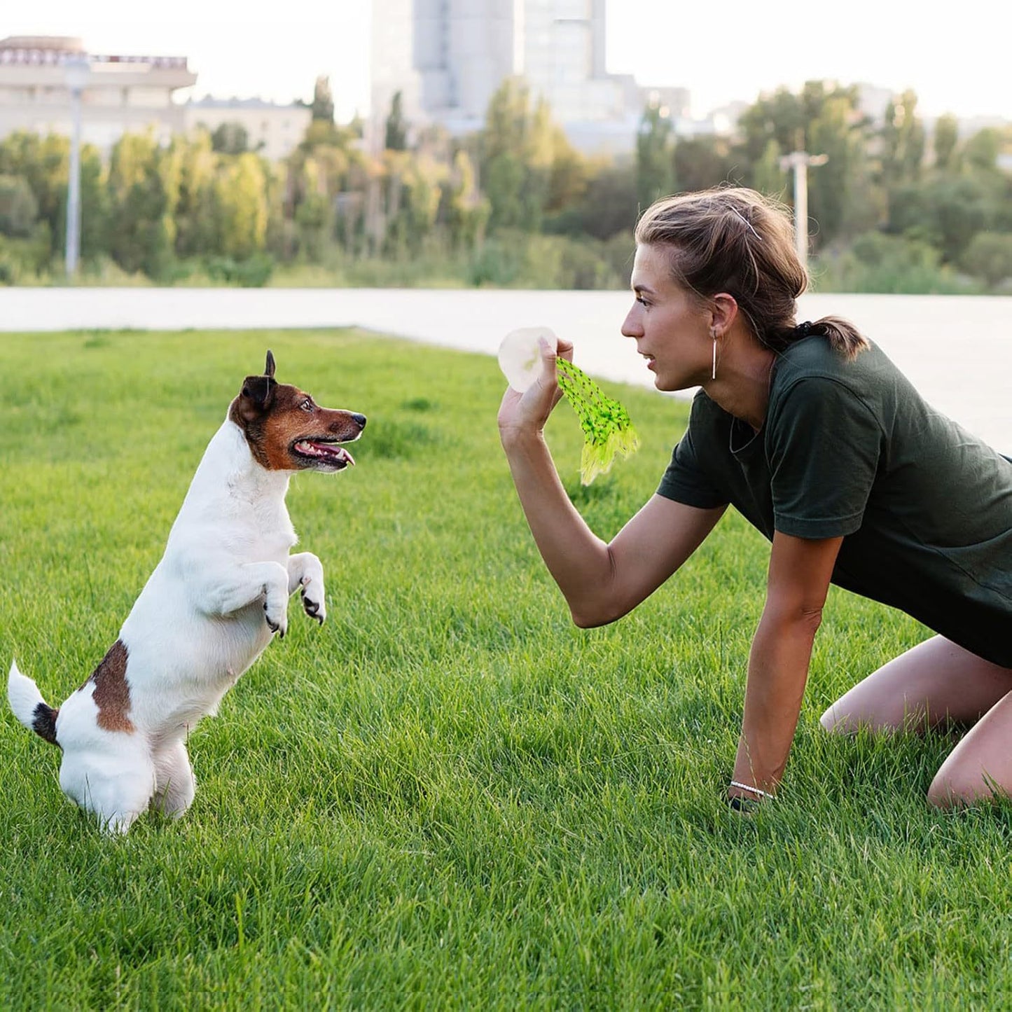 Dog Teeth Cleaning Night Glow Jellyfish TPR Drag Toy