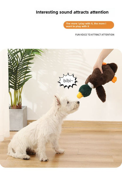 Sound Toy Duck Plush BB Called Wild Goose Cat Doll Toy Small and Medium-Sized Dogs Training Molar Tooth Cleaning