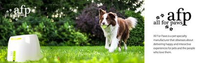 Large Dog Automatic Ball Launcher 6.5cm Tennis Ball Machine Pet Indoor Outdoor Training Tool