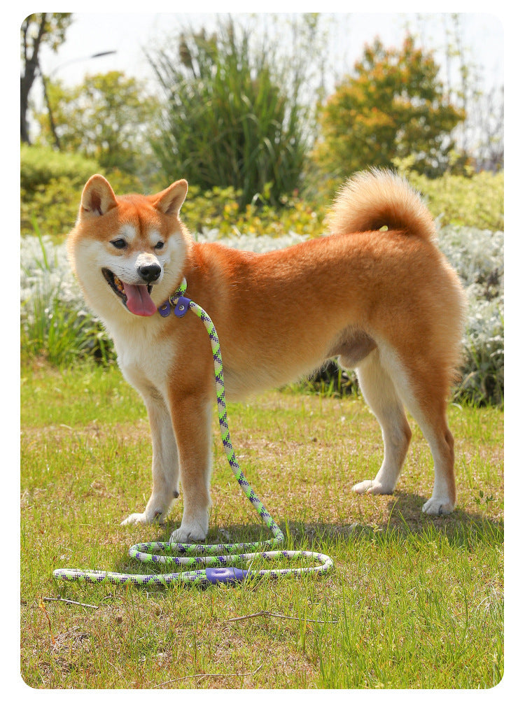 Pet Explosion-proof Dog Leash for Large Dogs