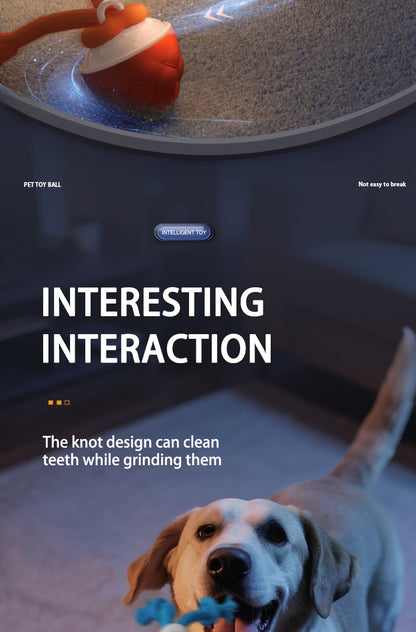 Interactive Self Entertainment Dog Ball Toy with Sound Boredom Relief for Dogs and Cats Fun Pet Supplies for Playtime and Exercise