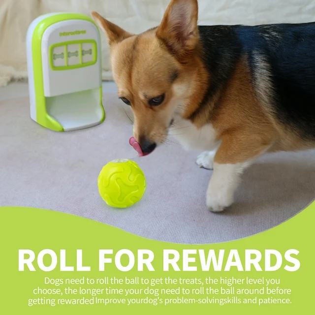 Educational Dog Toy Rolling Tennis Snack Dispenser with 4-Color Recording Feature