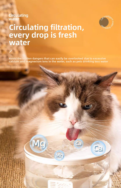 Silent Automatic Cat Water Dispenser Large Capacity Pet Fountain Anti Black Chin Bowl