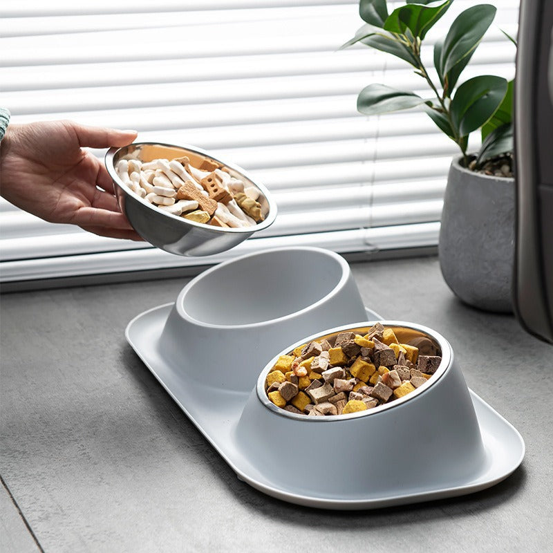 Double Bowl Stainless Steel Pet Bowl with Neck Protection for Cats Dogs