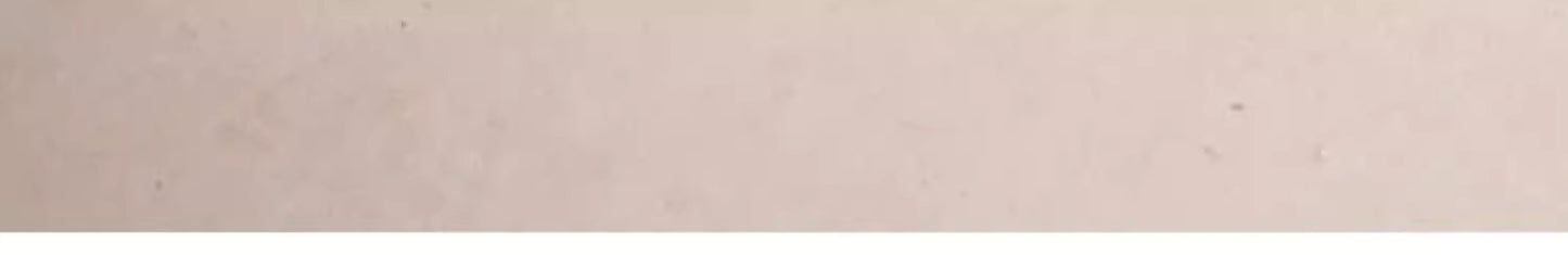 Summer Special Pet Cooling Pad Oval Track Thick Dog Bed Pet Essentials