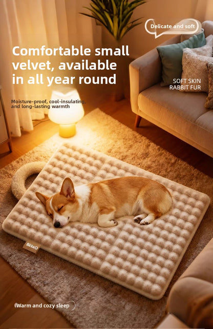 Deluxe Heated Pet Bed for Dogs Cats Warm Plush Mat with Removable Washable Cover All Season Cushion for Puppy Kitten Senior Pets