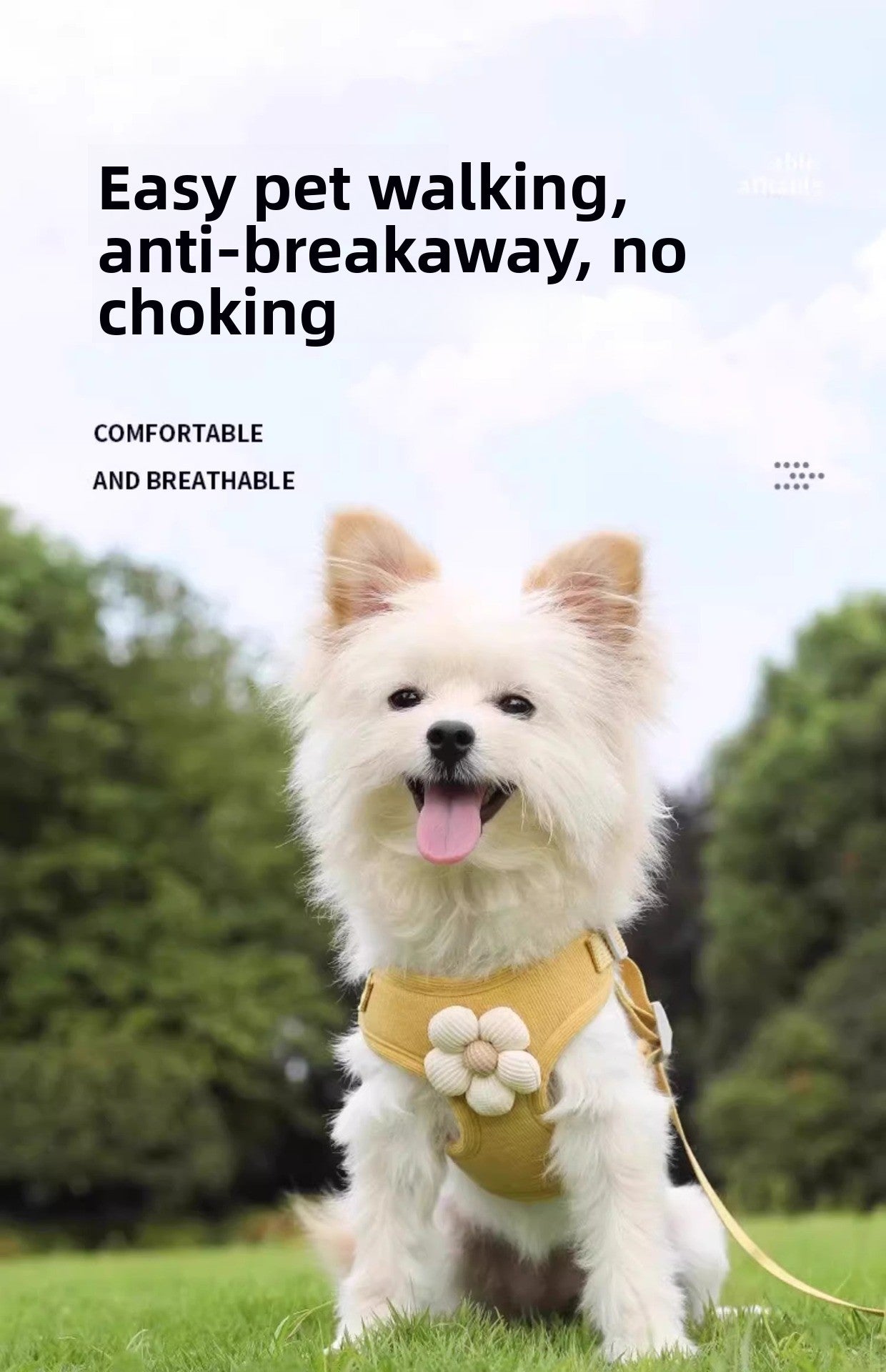 Small Dog Outdoor Walking Leash Vest Style Chest Harness for Teddy Bichon Pomeranian