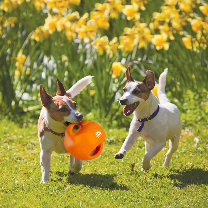 Squeaky Interactive Ball for Dogs Outdoor Tug of War Fun Teeth Cleaning Chew Toy