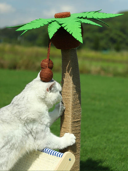 Complete Cat Delight: Frame Bed Roller Scratching Post