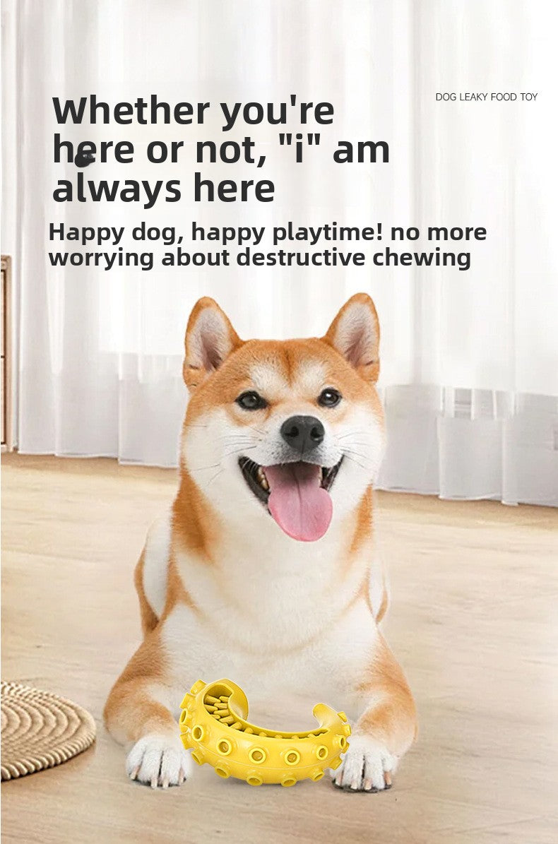 Rubber Spiked Bone Pet Toy New Design for Dog Teeth Grinding Chew Supplies