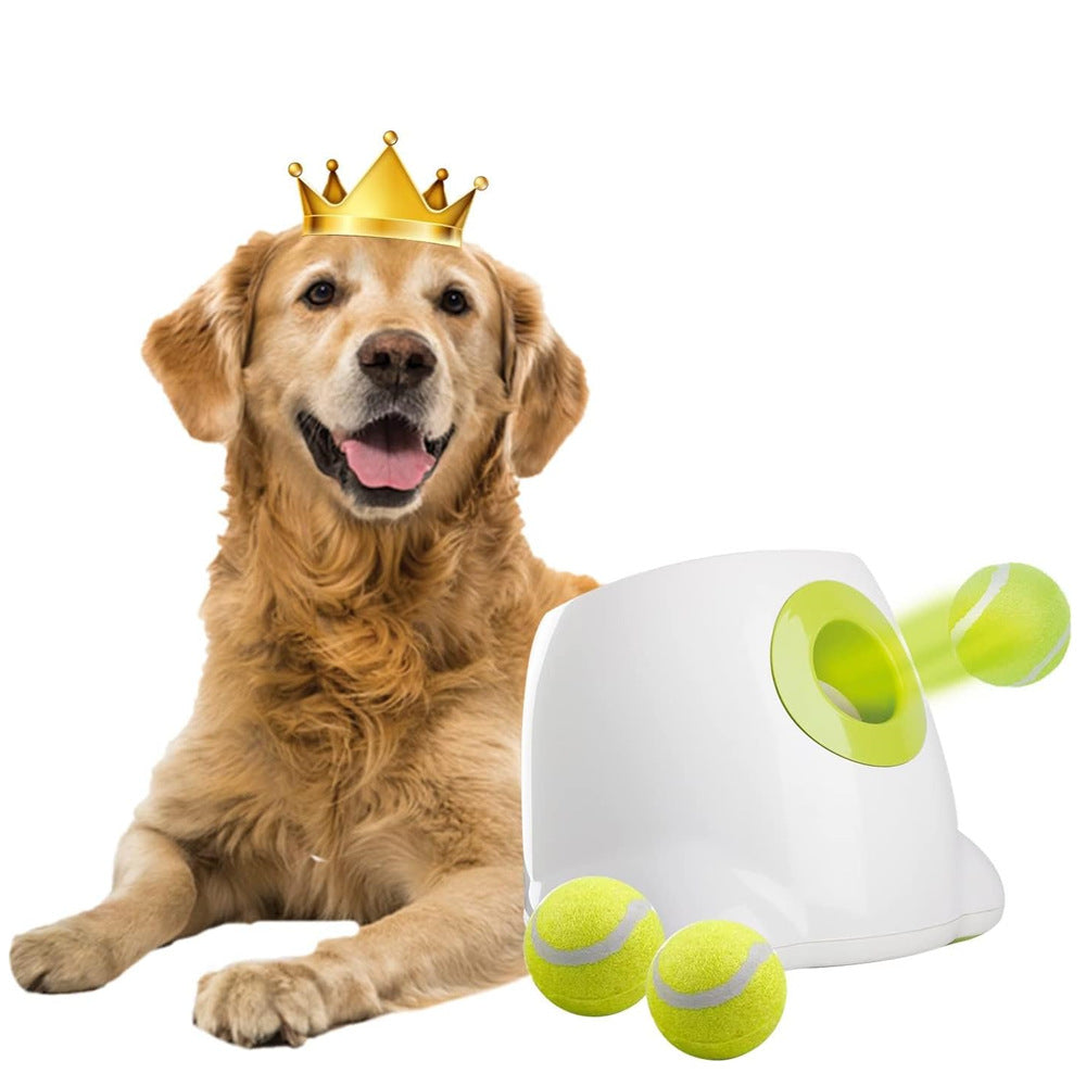 Large Dog Automatic Ball Launcher 6.5cm Tennis Ball Machine Pet Indoor Outdoor Training Tool