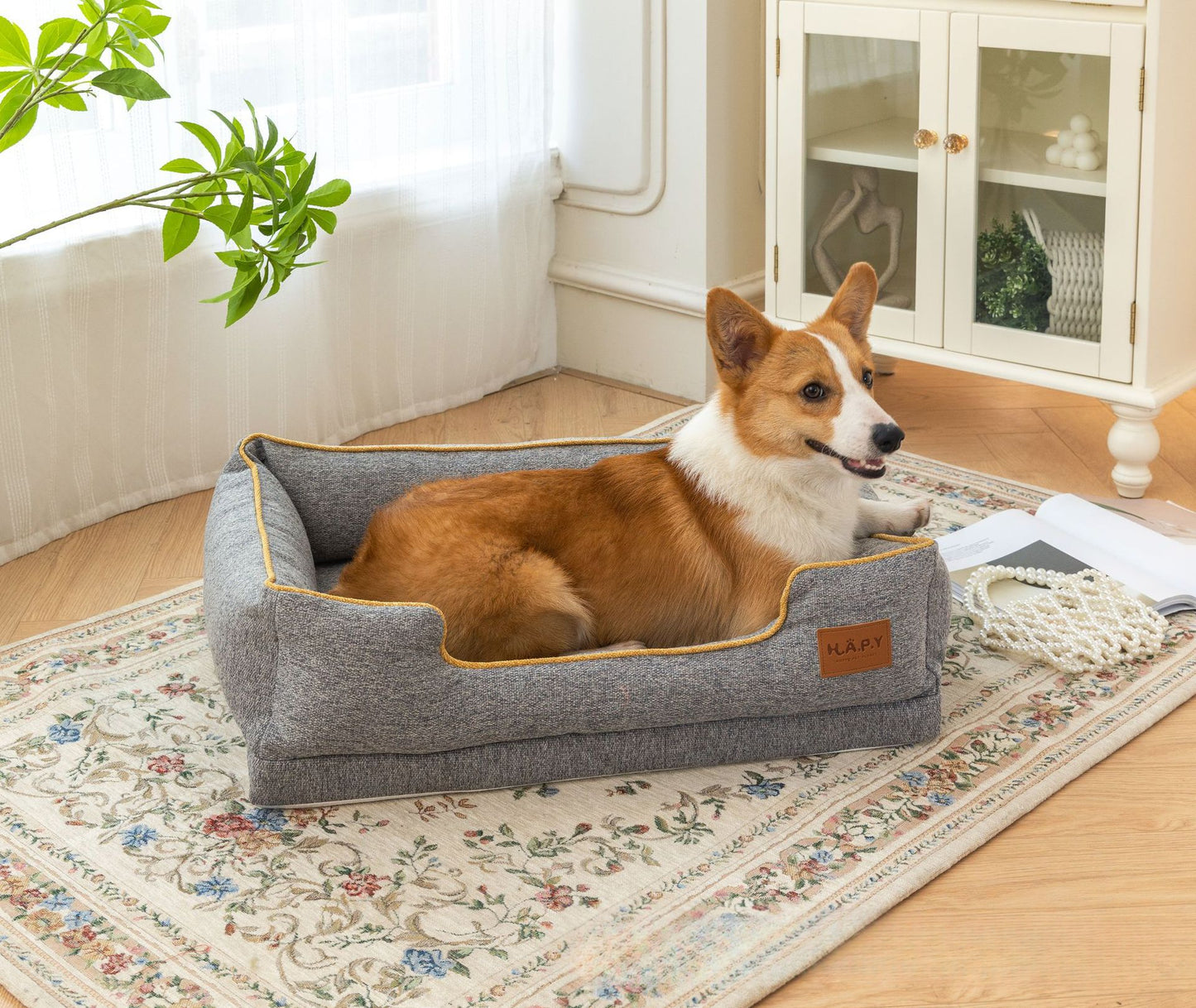 All Seasons Pet Bed, Detachable and Washable, Perfect for Cats and Dogs