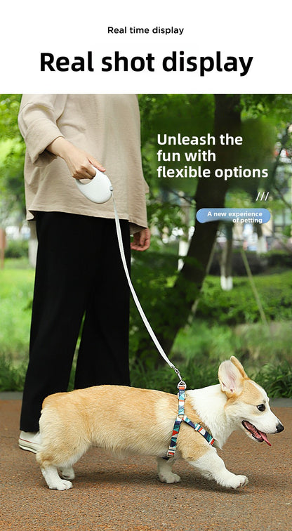 Automatic Retractable Dog Leash Heavy Duty Tangle Free Rope for Small Medium Dogs Walking Puppy Teddy Bichon Poodle Pet