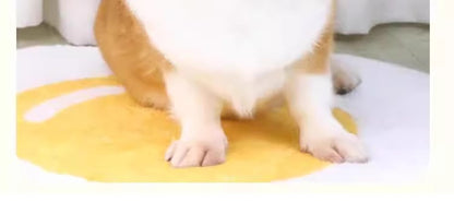 Effective Anti Bite Barking Dog Muzzle Fits Small Medium Large Dogs Teddy Golden Retriever