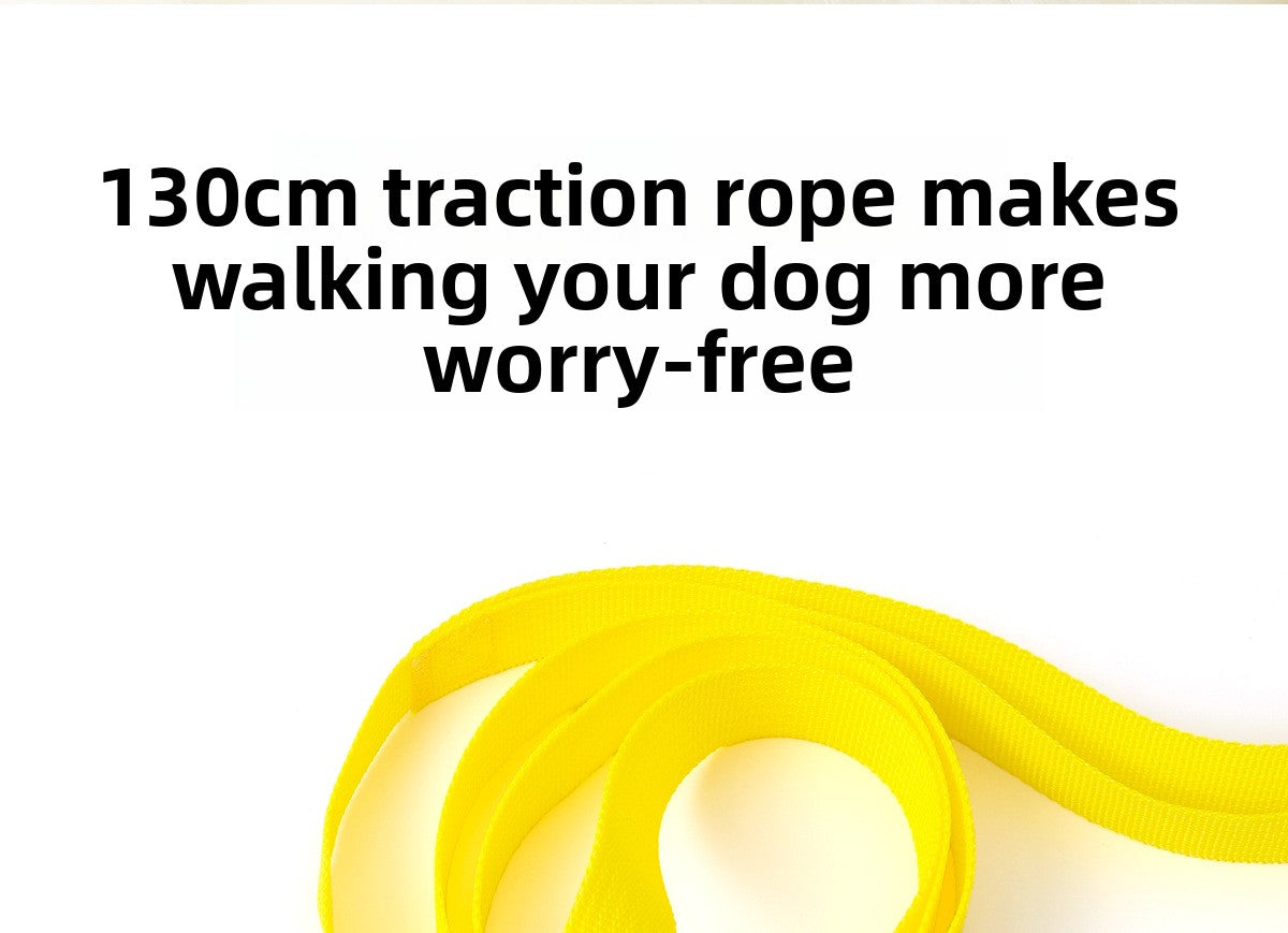 Big Eyes Cute Dog Harness and Leash Set Anti Escape Reflective Adjustable Chest Strap for Small Dogs Outdoor Travel Walking