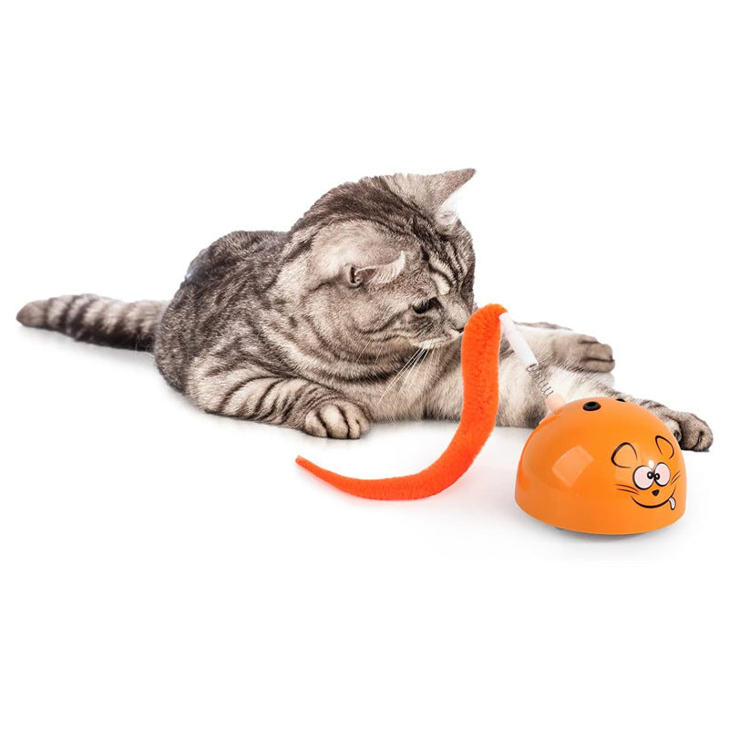 Indoor Electric Self-Entertainment Cat Toy with Glowing Moving Mouse