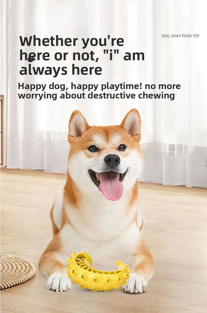 Rubber Spiked Bone Pet Toy New Design for Dog Teeth Grinding Chew Supplies