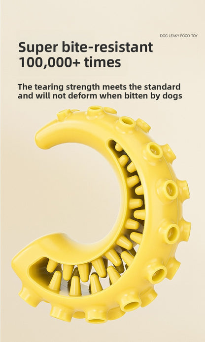 Rubber Spiked Bone Pet Toy New Design for Dog Teeth Grinding Chew Supplies