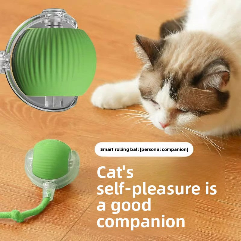 Rechargeable Automatic Cat Toy Ball with Variable Speed Smart Motion for Cats Interactive Self Play Pet Entertainment Teaser Ball