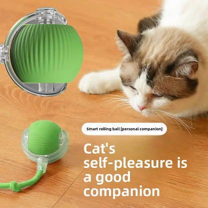 Rechargeable Automatic Cat Toy Ball with Variable Speed Smart Motion for Cats Interactive Self Play Pet Entertainment Teaser Ball