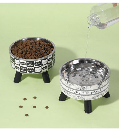 Elevated Anti Spill Cat Bowl Stainless Steel Pet Food and Water Dish with High Stand for Dogs Cats Non Slip Large Capacity Feeding Station