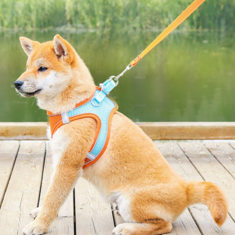 New Pet Vest-Style Pet Harness Reflective Breathable Cat Dog Leash Walking Leash Dropshipping