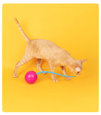 Automatic Electric Cat Toy with Irregular Sliding Magic Spinning Ball for Self-Entertainment