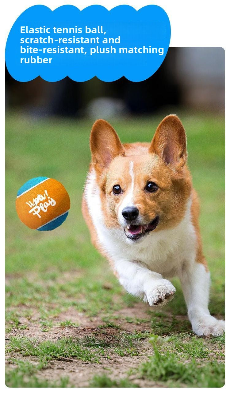 Handheld Launcher Ball Gun Dog Toy Interactive Training Ejection Ball Pet Toy Ball Machine Boredom Relief