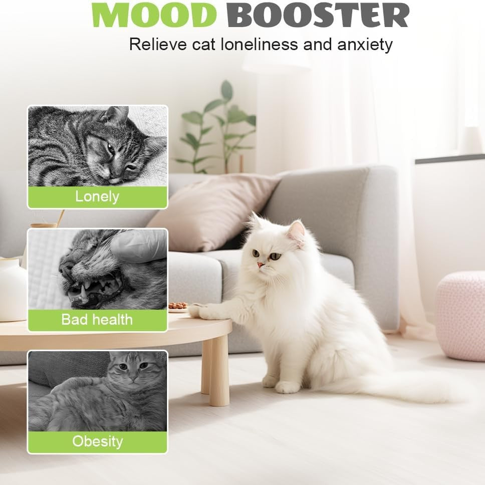 Smart Electric Caterpillar Teasing Light-Sensitive Cat Whack-A-Mole Toy