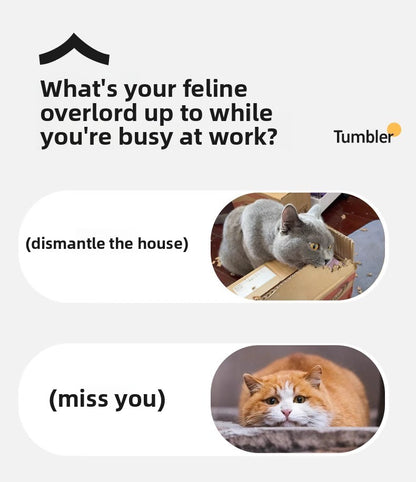 Cat Toy Sound Gravity Pet Cat Intelligent Teasing Cat Toy Ball Relieve Boredom Rolling