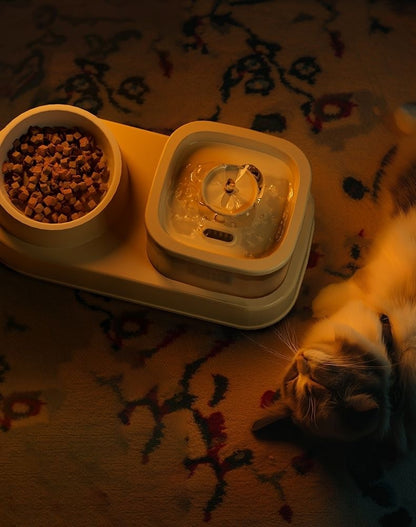 Anti Tip Electric Water Dispenser Cat Bowl with Large Capacity Integrated Circulating Food Water Fountain