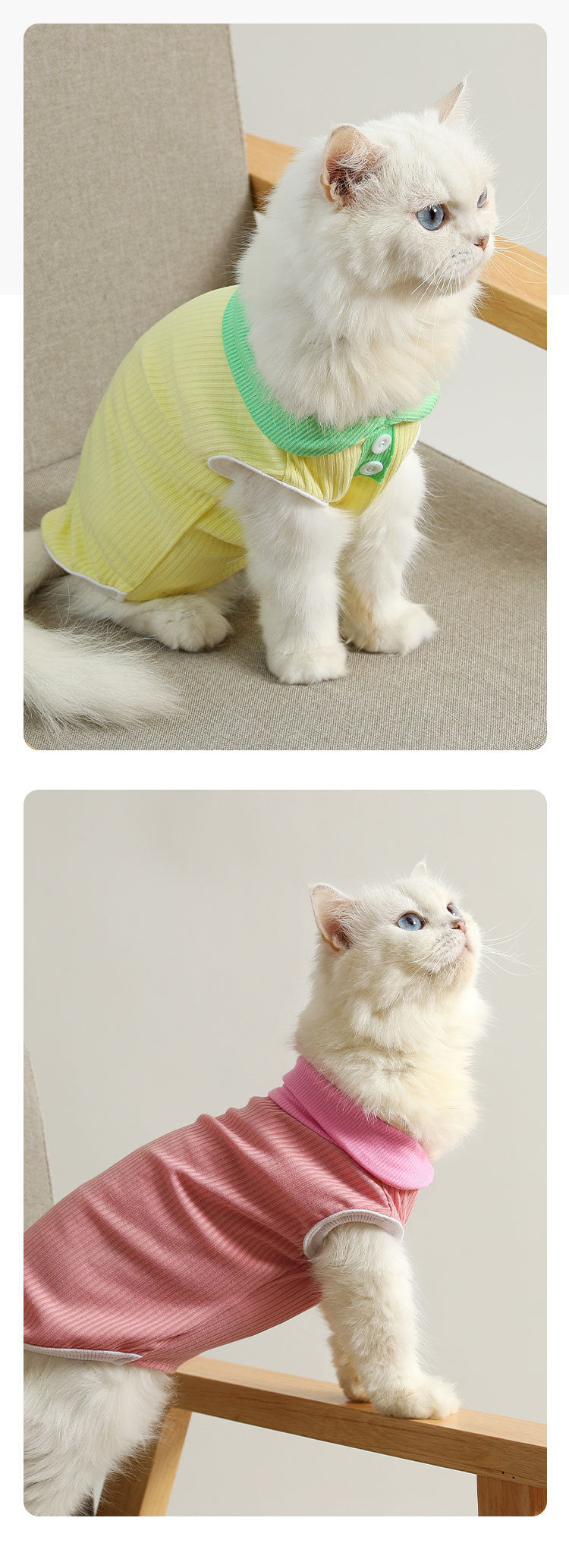 Casual Pet T-Shirt for Dogs and Cats